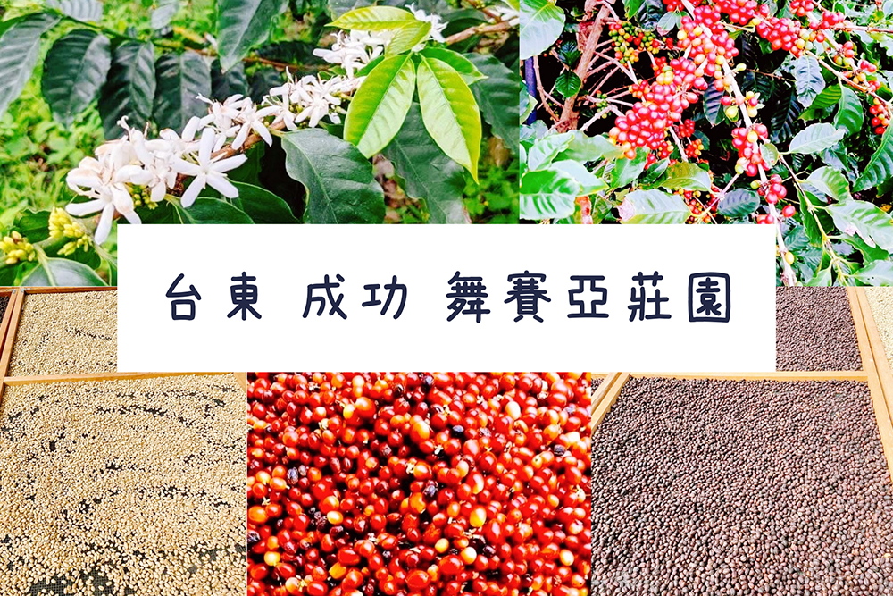 茜草咖啡位於臺東縣成功鎮的舞賽亞咖啡莊園，每年都生產高品質的咖啡紅果，精心後製處理產出優良的生豆，擁有專屬於臺東的風土風味。